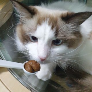 third29님이 올린 리뷰 사진 4