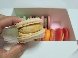 응꼬발랄은남매맘님이 올린 리뷰 사진 2
