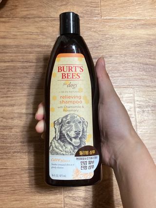 민트초코님이 올린 리뷰 사진 1