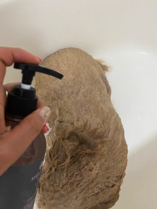 마리앤루이펫샴푸 [mari and louie pet shampoo] — 5점을 준 리뷰어가 2021년 6월 올린 사용 사진