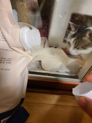 지후후님이 올린 리뷰 사진 3