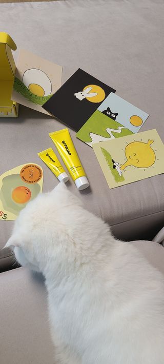 논지님이 올린 리뷰 사진 2