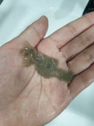 별빛달숲님이 올린 리뷰 사진 3