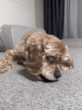 이다희님이 올린 리뷰 사진 3