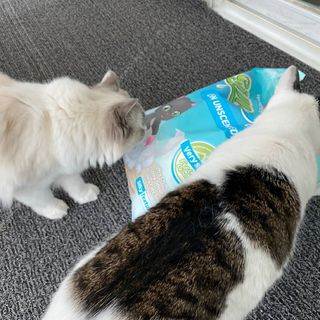 딸랑구둘🥰님이 올린 리뷰 사진 2