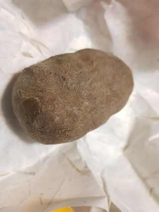 진주님이 올린 리뷰 사진 3