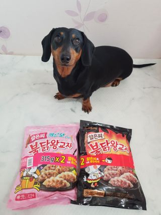 삼양냉동 [삼양] 얇은피불닭왕교자+얇은피까르보불닭왕교자 총4팩 — 5점을 준 리뷰어가 2021년 2월 올린 사용 사진
