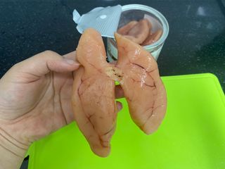 뉴니맘님이 올린 리뷰 사진 2
