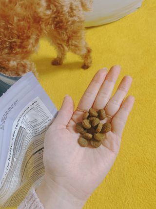 캐닌캐비어 알카라인 홀리스틱 그레이프리 앙뜨레 ALS_4종 오픈스카이, 와일드오션, 프리스피릿, 스페셜니즈 — 5점을 준 리뷰어가 2023년 3월 올린 사용 사진