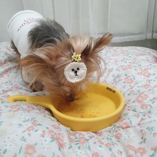 솜희님이 올린 리뷰 사진 4