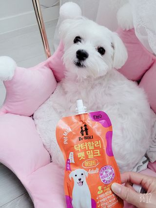 바이에이미님이 올린 리뷰 사진 2
