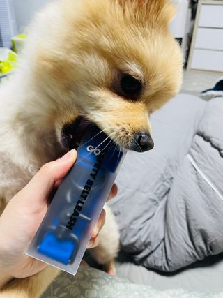 으콩님이 올린 리뷰 사진 2