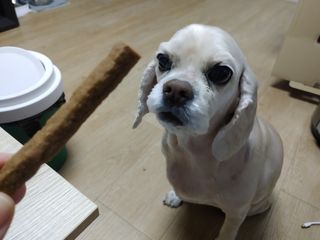 곰둥공주님님이 올린 리뷰 사진 3