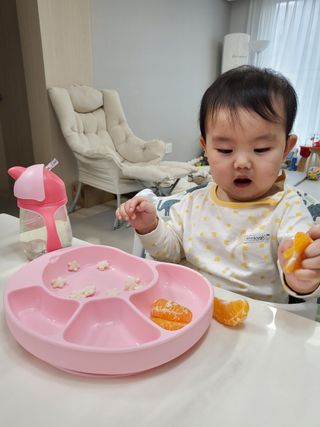 유비맘 캐릭터 실리콘 흡착 식판_색상 랜덤발송 — 5점을 준 리뷰어가 2020년 12월 올린 사용 사진