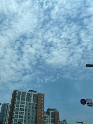쿠로미조아님이 올린 리뷰 사진 2