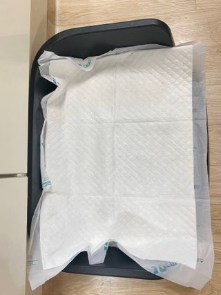 아베크 펫 와이드 프리미엄 중형 애견 강아지 배변 패드 54매 1팩 45g — 5점을 준 리뷰어가 2021년 7월 올린 사용 사진