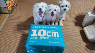 공팔리터님이 올린 리뷰 사진 1