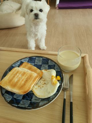 뽀오오옹님이 올린 리뷰 사진 3