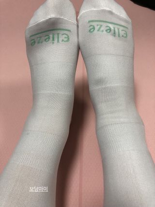 쓰담쓰담님이 올린 리뷰 사진 1