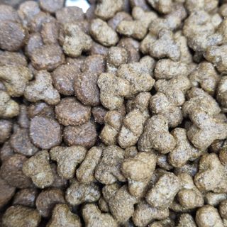 영국 바이탈린 강아지 애견사료 2kg — 5점을 준 리뷰어가 2021년 6월 올린 사용 사진