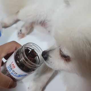 곰같은여우님이 올린 리뷰 사진 3