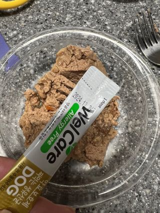 코끼리님이 올린 리뷰 사진 2