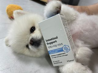 kibomi09님이 올린 리뷰 사진 1