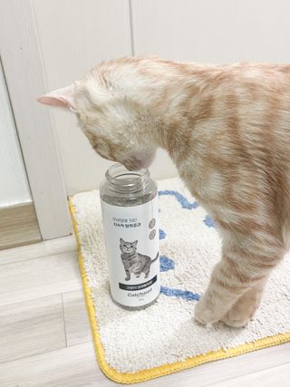박토리님이 올린 리뷰 사진 1