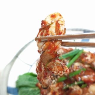 셰프애찬 별미김치 굴겉절이 1kg — 5점을 준 리뷰어가 2022년 12월 올린 사용 사진