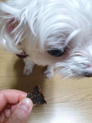 끌랑님이 올린 리뷰 사진 4