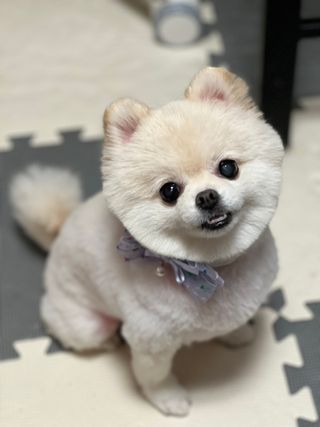 송유미님이 올린 리뷰 사진 3