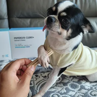 썽이mom앙꼬님이 올린 리뷰 사진 1