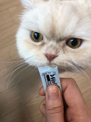 시토맘님이 올린 리뷰 사진 4