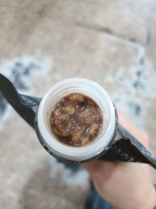 일일하우 슬리밍 플랜B 고소한 귀리맛, 진한 카카오맛 (체중조절식) — 5점을 준 리뷰어가 2023년 8월 올린 사용 사진