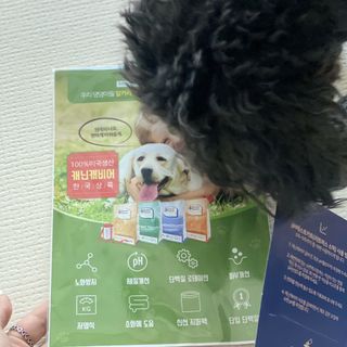 캐닌캐비어 알카라인 홀리스틱 그레이프리 앙뜨레 ALS_4종 오픈스카이, 와일드오션, 프리스피릿, 스페셜니즈 — 5점을 준 리뷰어가 2023년 2월 올린 사용 사진