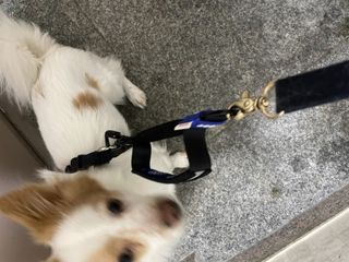 밉소님이 올린 리뷰 사진 1