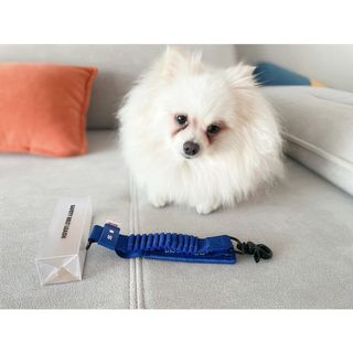 심쿵해에님이 올린 리뷰 사진 2