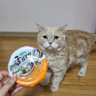 꼼지랑님이 올린 리뷰 사진 2