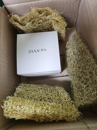 디에이브 더마-테카 바이옴 크림 50ml — 5점을 준 리뷰어가 2022년 10월 올린 사용 사진