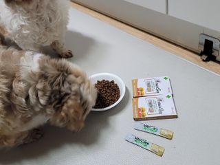 보리엄마님이 올린 리뷰 사진 3