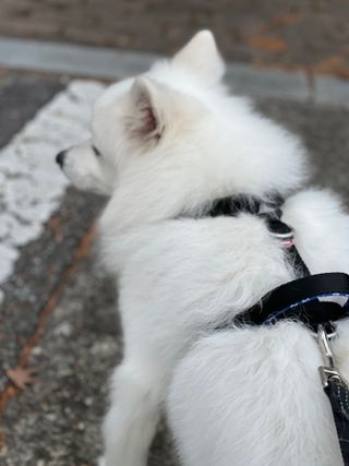 오로라님이 올린 리뷰 사진 3