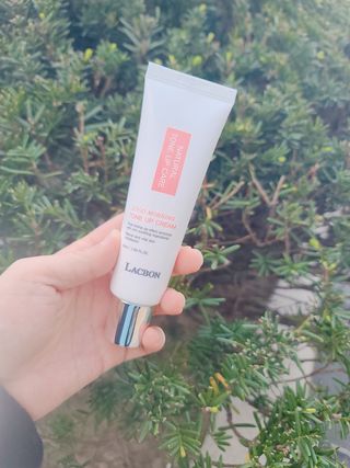 우기기우기님이 올린 리뷰 사진 2