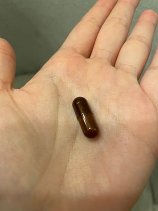 프리마인 홍삼의 강력한 에너지, 이제는 흡수율을 높인 최첨단 캡슐로 간편하게 초고속 충전하세요. — 4점을 준 리뷰어가 2022년 11월 올린 사용 사진
