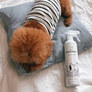 조이님이 올린 리뷰 사진 1