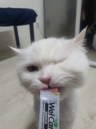 poochi님이 올린 리뷰 사진 2