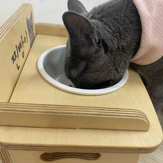율집사님이 올린 리뷰 사진 4