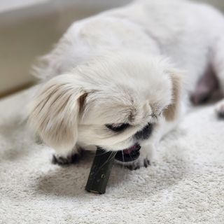 환희님이 올린 리뷰 사진 4