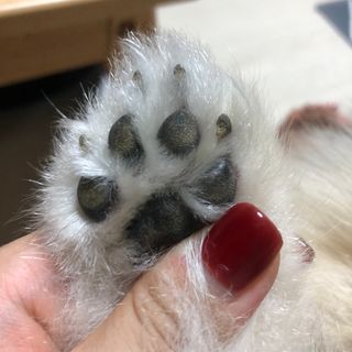 나니누네노님이 올린 리뷰 사진 3