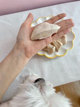 [펫시밀] 원물그대로 영양듬뿍 동결건조 왕북어트릿300g,왕치킨트릿400g,열빙어트릿300g 대용량 간식 — 5점을 준 리뷰어가 2023년 5월 올린 사용 사진