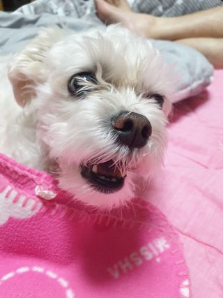 windy04님이 올린 리뷰 사진 4